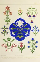 An illustration from Floriated ornament : a series of thirty-one designs (1875)