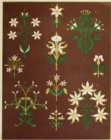 An illustration from Floriated ornament : a series of thirty-one designs (1875)