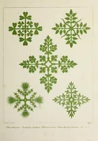 An illustration from Floriated ornament : a series of thirty-one designs (1875)