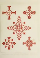 An illustration from Floriated ornament : a series of thirty-one designs (1875)