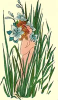 An illustration from Flower children; the little cousins of the field and garden (1910)