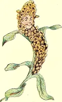 An illustration from Flower children; the little cousins of the field and garden (1910)