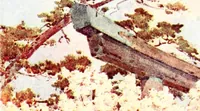 Picture 21 of 56 from The flowers and gardens of Japan (1908), leaf 138