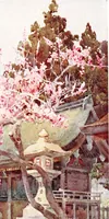 Picture 31 of 56 from The flowers and gardens of Japan (1908), leaf 192