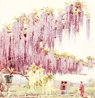 Picture 41 of 56 from The flowers and gardens of Japan (1908), leaf 266