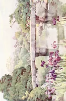 Picture 10 of 56 from The flowers and gardens of Japan (1908), leaf 79