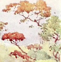 An illustration from The flowers and gardens of Japan (1908)