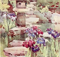 Picture 13 of 56 from The flowers and gardens of Japan (1908), leaf 86