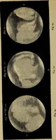 An illustration from Flowers of the sky (1879)