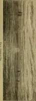 An illustration from Flowers of the sky (1879)
