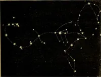 An illustration from Flowers of the sky (1879)