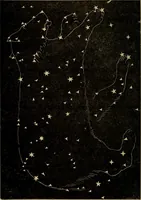 An illustration from Flowers of the sky (1879)