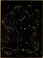 An illustration from Flowers of the sky (1879)
