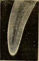 An illustration from Flowers of the sky (1879)