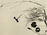 An illustration from Flowers and plants for designers and schools (1907)