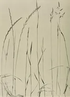 An illustration from Flowers and plants for designers and schools (1907)