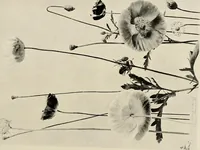 An illustration from Flowers and plants for designers and schools (1907)