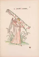 Picture 13 of 19 from A flower wedding : described by two wallflowers (1905), leaf 31