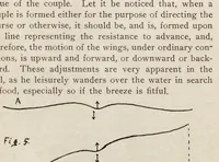An illustration from Fly (1908)