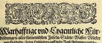 An illustration from Fünfter Theil der Orientalischen Indien, eygentlicher Bericht vnd warhafftige Beschreibung der gantzen volkommenen Reyse oder Schiffart, so die Holländer mit acht Schiffen in die Orientalische Indien, sonderlich aber in die Javanische vnd Molukische Inseln, als Bantam, Banda, vnd Ternate, &c. gethan haben, welche von Amsterdam abgefahren im Jahr 1598. vnd zum Theil Anno 1599. zum Theil aber in Jüngst abgelauffenen 1600. Jahr, : mit grossen Reichthumb von Pfeffer Muscaten, Regelein, vnd anderer köstlichen Würtz, wider anheym gelanget, darinn fleissig beschrieben vnd angezeigt, was ihnen auff der gantzen Reyse Denckwürdiges begegnet vnd zuhanden gangen. (1601)