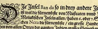 An illustration from Fünfter Theil der Orientalischen Indien, eygentlicher Bericht vnd warhafftige Beschreibung der gantzen volkommenen Reyse oder Schiffart, so die Holländer mit acht Schiffen in die Orientalische Indien, sonderlich aber in die Javanische vnd Molukische Inseln, als Bantam, Banda, vnd Ternate, &c. gethan haben, welche von Amsterdam abgefahren im Jahr 1598. vnd zum Theil Anno 1599. zum Theil aber in Jüngst abgelauffenen 1600. Jahr, : mit grossen Reichthumb von Pfeffer Muscaten, Regelein, vnd anderer köstlichen Würtz, wider anheym gelanget, darinn fleissig beschrieben vnd angezeigt, was ihnen auff der gantzen Reyse Denckwürdiges begegnet vnd zuhanden gangen. (1601)