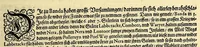 An illustration from Fünfter Theil der Orientalischen Indien, eygentlicher Bericht vnd warhafftige Beschreibung der gantzen volkommenen Reyse oder Schiffart, so die Holländer mit acht Schiffen in die Orientalische Indien, sonderlich aber in die Javanische vnd Molukische Inseln, als Bantam, Banda, vnd Ternate, &c. gethan haben, welche von Amsterdam abgefahren im Jahr 1598. vnd zum Theil Anno 1599. zum Theil aber in Jüngst abgelauffenen 1600. Jahr, : mit grossen Reichthumb von Pfeffer Muscaten, Regelein, vnd anderer köstlichen Würtz, wider anheym gelanget, darinn fleissig beschrieben vnd angezeigt, was ihnen auff der gantzen Reyse Denckwürdiges begegnet vnd zuhanden gangen. (1601)