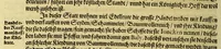 An illustration from Fünfter Theil der Orientalischen Indien, eygentlicher Bericht vnd warhafftige Beschreibung der gantzen volkommenen Reyse oder Schiffahrt, so die Holländer mit 8. Schiffen in die Orientalische Indien, sond[er]lich aber in die Javanische vnd Molukische Inseln, als Bantam, Banda, vnnd Ternate, &c. gethan haben, welche von Amsterdam abgefahren im Jahr 1598. vnnd zum Theil Anno 1599. zum Theil aber in Jüngst abgelauffenen 1600. Jahr, : mit grossen Reichthumb von Pfeffer, Muscaten, Regelein, vnd anderer köstlichen Würtz, wid anheym gelanget, darinn fleissig beschrieben vnd angezeigt, w[a]z ihnen auff der gantzen Reyse Denckwürdiges begegnet vnd zuhanden gangen. (1623)
