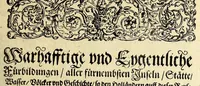 An illustration from Fünfter Theil der Orientalischen Indien, eygentlicher Bericht vnd warhafftige Beschreibung der gantzen volkommenen Reyse oder Schiffahrt, so die Holländer mit 8. Schiffen in die Orientalische Indien, sond[er]lich aber in die Javanische vnd Molukische Inseln, als Bantam, Banda, vnnd Ternate, &c. gethan haben, welche von Amsterdam abgefahren im Jahr 1598. vnnd zum Theil Anno 1599. zum Theil aber in Jüngst abgelauffenen 1600. Jahr, : mit grossen Reichthumb von Pfeffer, Muscaten, Regelein, vnd anderer köstlichen Würtz, wid anheym gelanget, darinn fleissig beschrieben vnd angezeigt, w[a]z ihnen auff der gantzen Reyse Denckwürdiges begegnet vnd zuhanden gangen. (1623)
