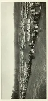 Picture 1 of 13 from Folk-dances and singing games; twenty-six folk-dances of Norway, Sweden, Denmark, Russia, Bohemia, Hungary, Italy, England, Scotland and Ireland (1909), leaf 8