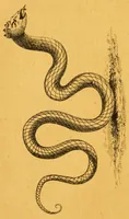 An illustration from Folk-lore español : Biblioteca de las tradiciones populares españolas (1884)