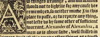 An illustration from The foreste or Collection of histories, no lesse profitable, then pleasant and necessarie, (1571)