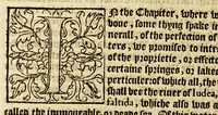 An illustration from The foreste or Collection of histories, no lesse profitable, then pleasant and necessarie, (1571)