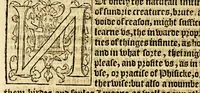 An illustration from The foreste or Collection of histories, no lesse profitable, then pleasant and necessarie, (1571)