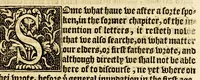 An illustration from The foreste or Collection of histories, no lesse profitable, then pleasant and necessarie, (1571)