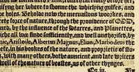 An illustration from The foreste or Collection of histories, no lesse profitable, then pleasant and necessarie, (1571)