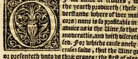 An illustration from The foreste or Collection of histories, no lesse profitable, then pleasant and necessarie, (1571)