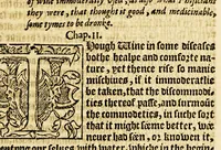 An illustration from The foreste or Collection of histories, no lesse profitable, then pleasant and necessarie, (1571)