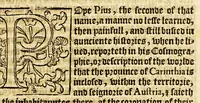 An illustration from The foreste or Collection of histories, no lesse profitable, then pleasant and necessarie, (1571)