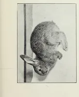 An illustration from Förgiftning genom torkande eller uppvärmd oljefärg (1919)