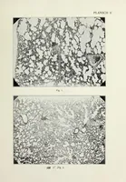 An illustration from Förgiftning genom torkande eller uppvärmd oljefärg (1919)