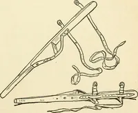 An illustration from For playground, field, and forest; the outdoor handy book (1900)