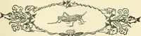 An illustration from For playground, field, and forest; the outdoor handy book (1900)