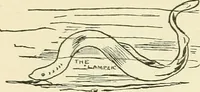 An illustration from For playground, field, and forest; the outdoor handy book (1900)