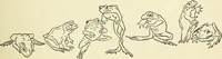 An illustration from For playground, field, and forest; the outdoor handy book (1900)