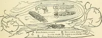 An illustration from For playground, field, and forest; the outdoor handy book (1900)