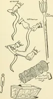 An illustration from For playground, field, and forest; the outdoor handy book (1900)