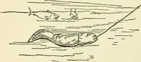 An illustration from For playground, field, and forest; the outdoor handy book (1900)
