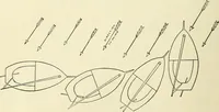 An illustration from For playground, field, and forest; the outdoor handy book (1900)