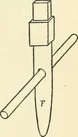 An illustration from For playground, field, and forest; the outdoor handy book (1900)