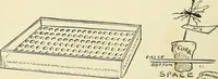 An illustration from For playground, field, and forest; the outdoor handy book (1900)